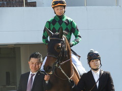 20180325 中山1R 3歳未勝利 ルフィーナ 10