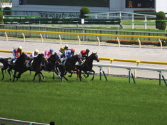 20140531 東京6R オウケンブラック 17