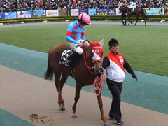 20170211 東京9R テレビ山梨杯(牝1000) レーヌドブリエ 21