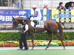 20151011 東京2R 2歳未勝利 アートラヴァー 09