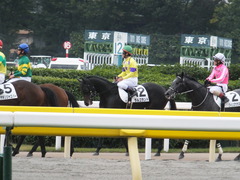 20151031 東京5R 2歳メイクデビュー ラルゴランド 17