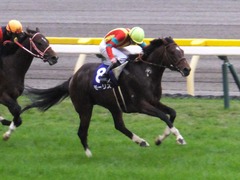 20161030 東京11R 天皇賞・秋(G1) モーリス 25