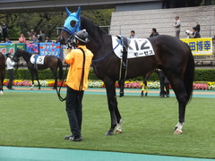 20151017 東京4R 2歳メイクデビュー モーゼス 12
