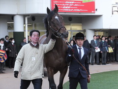 20170115 中山13R 最強の絶対王者 モーリス 引退式 12