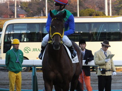 20161210 中山12R (500) トーセンカナロア 14