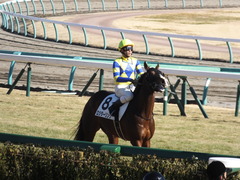 20150112 中山5R 3歳未勝利 ロジダーリング 19
