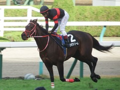 20181209 阪神9R オリオンS(1600) ホウオウドリーム 29