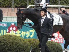 20150315 中山2R 3歳未勝利 コスモポッポ 03