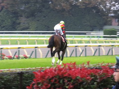 20131109 東京 モーリス 12