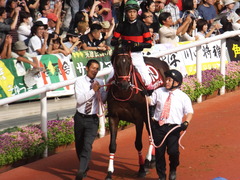 20170924 阪神11R 神戸新聞杯(G2) 3歳OP ホウオウドリーム 21