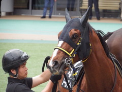 20180506 東京12R 立川特別(1000) ノーモアゲーム 11