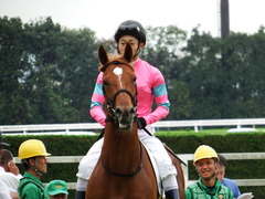 20171014 京都3R 2歳未勝利 ハルキスター 20