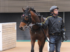 20160123 中山12R 4歳上500万下 オウケンブラック 13