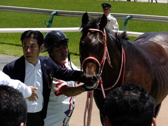 20170604 東京4R 3歳未勝利 ホウオウドリーム 34