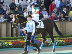 20141116 東京1R ラッシュアタック 09