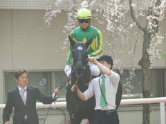 20180401 阪神11R 大阪杯(G1) サトノノブレス 07