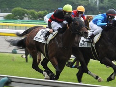 20170618 東京4R 3歳未勝利 ホウオウジャンプ 13