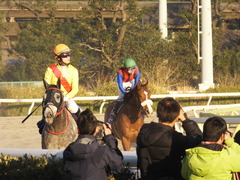 20170215 大井11R 金盃(S2) ユーロビート 29
