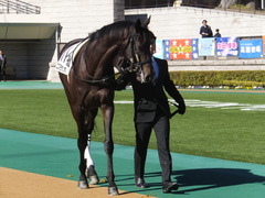 20150131 東京2R 3歳未勝利 コスモポッポ 03