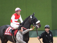 20150125 中山11R AJCC(G2) ショウナンラグーン 12
