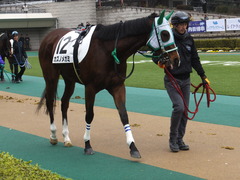20160130 東京3R 3歳未勝利 カズノメガミ 09
