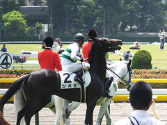 20160514 東京5R 3歳牝馬未勝利 ツボミ 19