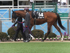 20140125 中山11R ユーロビート 03
