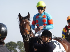 20140117 中山競馬場 ヴィルトグラーフ 15
