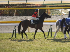 20150221 東京9R 4歳上1000万下 オウケンブラック 10