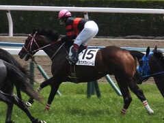 20170514 京都5R 3歳未勝利 ホウオウドリーム 26