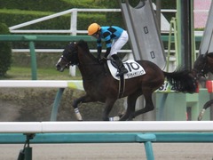20180407 中山6R 3歳未勝利 エイカイオリンピア 14