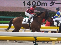 20170205 東京1R 3歳未勝利 メガポリゴン 18