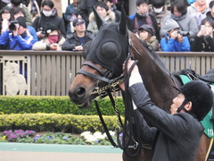 20170205 東京11R 東京新聞杯(G3) プロディガルサン 12