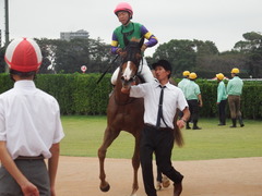 20180930 中山9R サフラン賞 2歳牝馬500万下 ポリアンサ 21