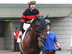 20170618 東京4R 3歳未勝利 ホウオウジャンプ 10
