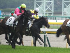 20160423 東京4R 3歳未勝利 ラルゴランド 15