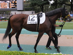 20161022 東京12R (1000) ノーモアゲーム 03