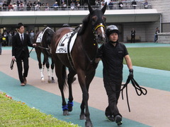 20161022 東京12R (1000) ノーモアゲーム 05