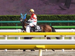 20170617 東京11R ジューンS(1600) トレジャーマップ 17