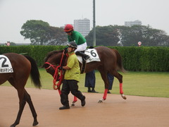 20180929 中山5R 2歳牝馬メイクデビュー オトナノジジョウ 25
