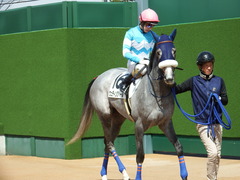 20180324 中山3R 3歳未勝利 ウェディングベール 12