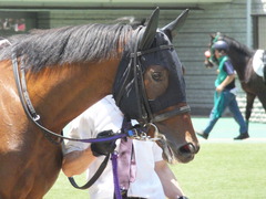20140614 東京5R ジュンナカヤマ 02