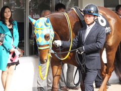 20150322 中山9R 幕張S(1600) アルマディヴァン 12