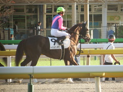東京12R (1000) メイショウノボサン 18