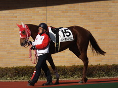 20141221 中京6R 2歳未勝利 レーヌドブリエ 11