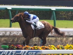20160320 中山4R 3歳メイクデビュー ダイワレンジャー 16