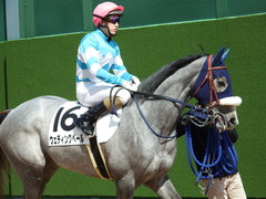 20180324 中山3R 3歳未勝利 ウェディングベール 13