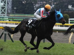 20160130 東京10R クロッカスS モーゼス 15