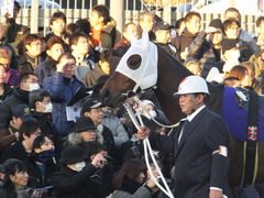20161229 大井10R 東京大賞典(G1) サンドプラチナ 08