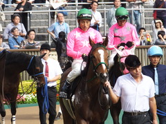 20161008 東京9R 山中湖特別(牝1000) ツクバアスナロ 14